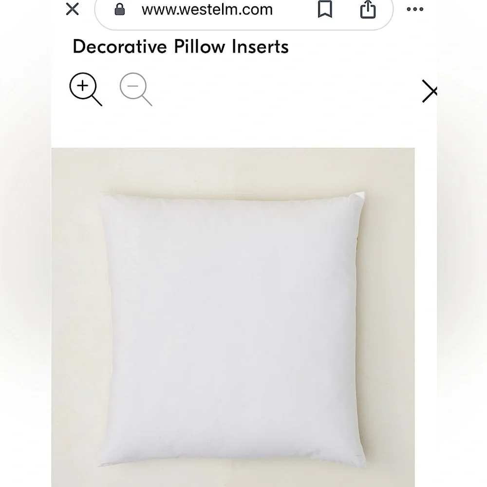 WEST ELM Down Alternative Pillow Insert White 20”x20” Set of 2